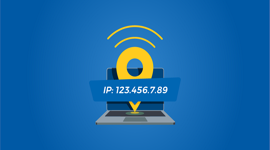 Detect Your Internet Protocol Address